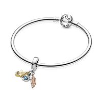 Charm Pandora Donna Pandora Moments in Argento 768785C01 - 768785C01